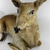 FULL MOUNT DEER TAXIDERMY