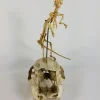 Articulated Rat Skeleton on Skull mount