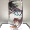 Diaphonized Rat
