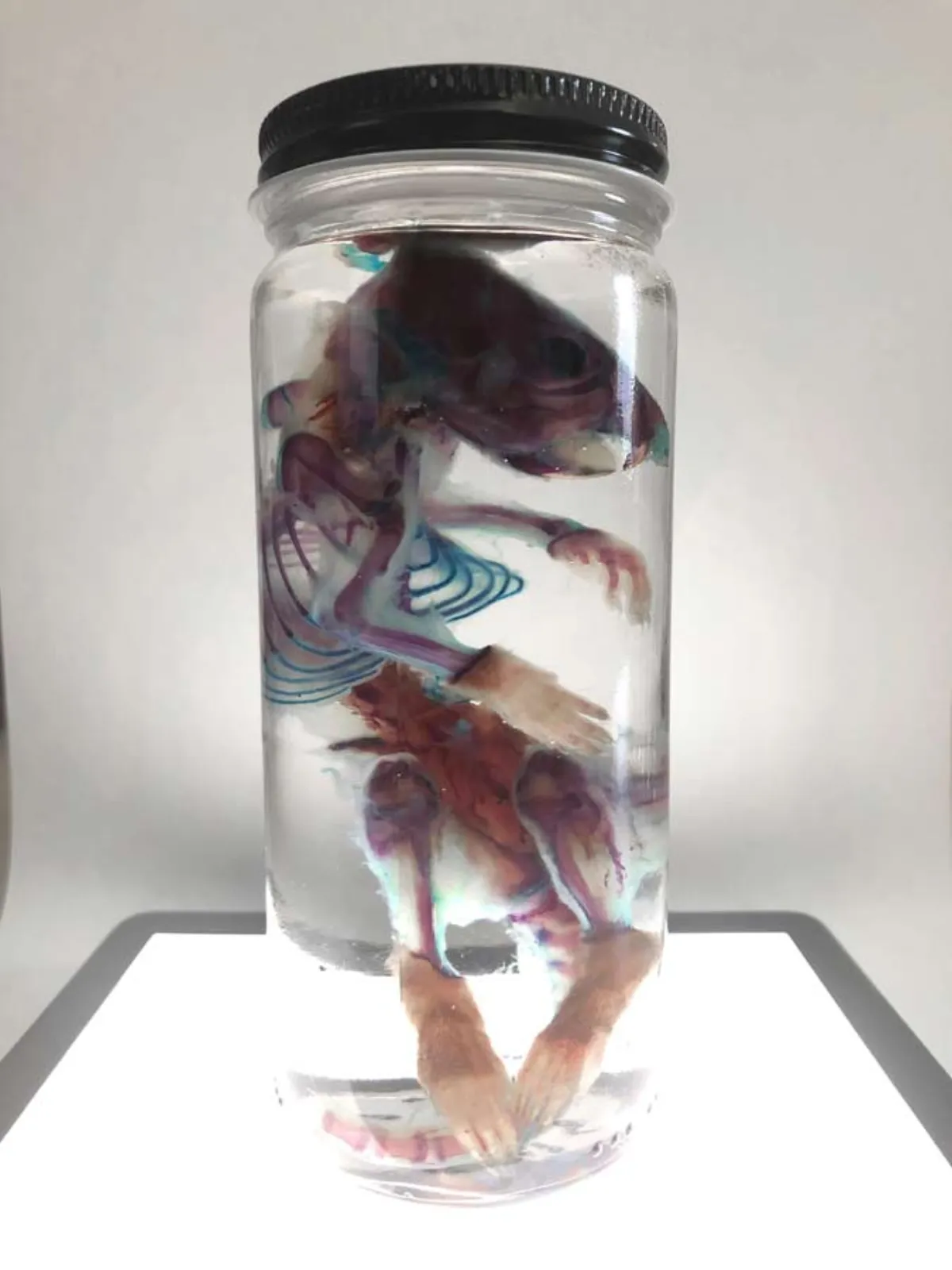 Diaphonized Rat