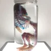 Diaphonized Rat