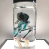 Diaphonized Chick