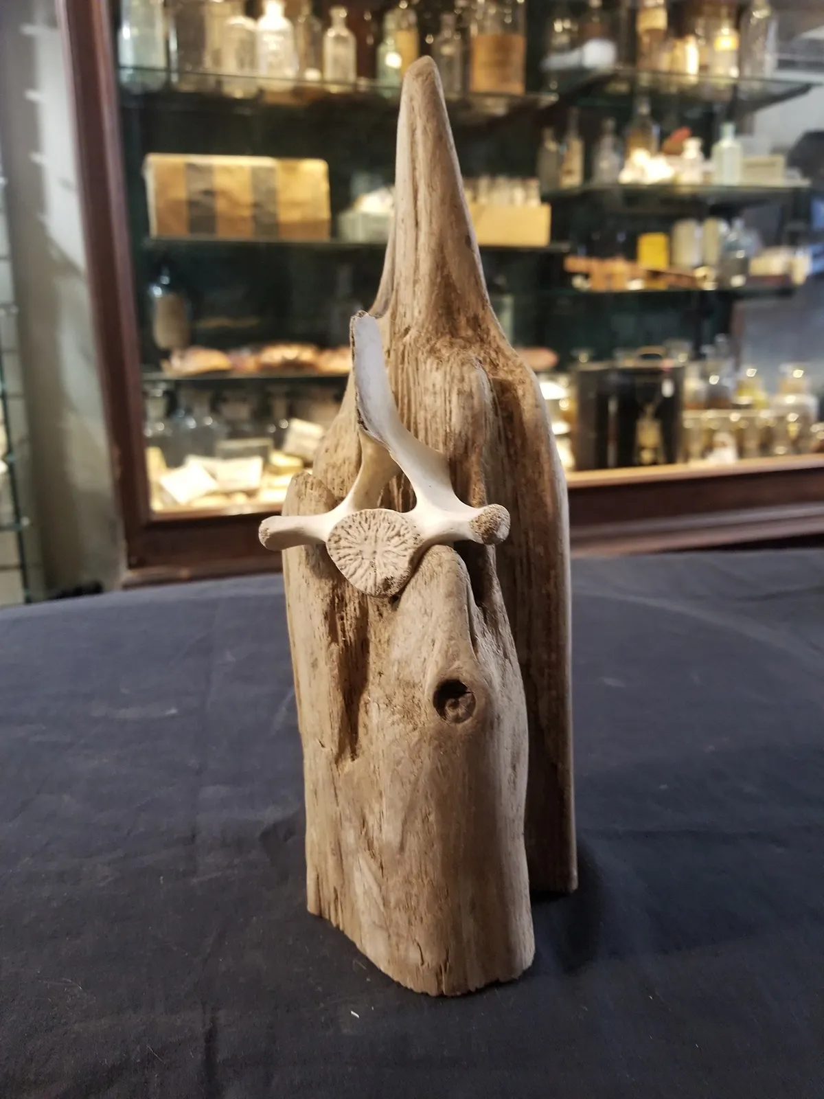 Natural Marine Vertebrae Sculpture