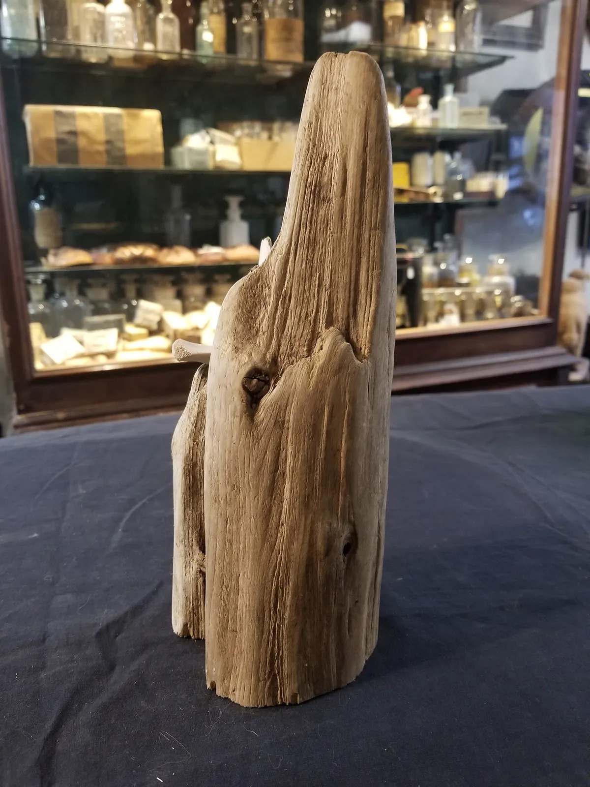 Natural Marine Vertebrae Sculpture
