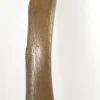 Woolly Mammoth Leg Bone