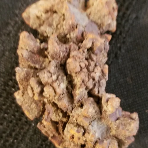 Fossilized Dinosaur Poo