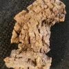 Fossilized Dinosaur Poo