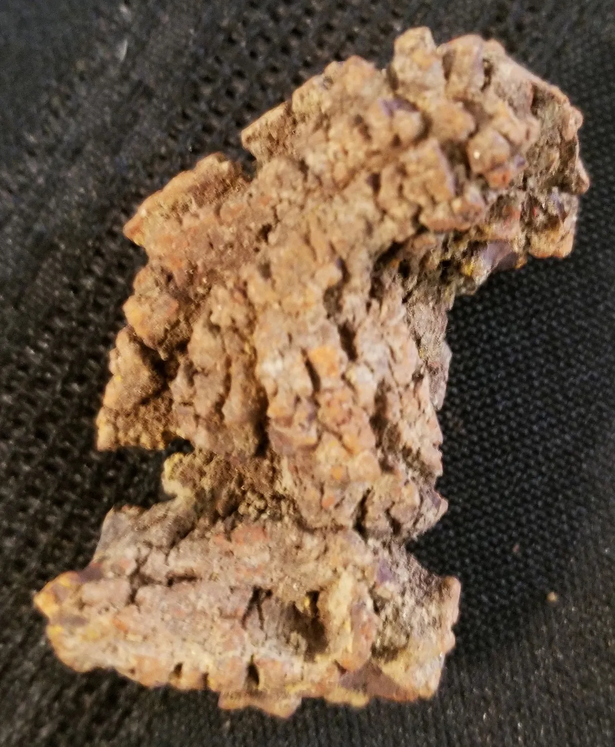 Fossilized Dinosaur Poo