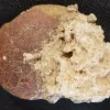 NH189-B 200 - 145 Million Yr old Ammonite