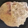 NH189-C 200 - 145 Million Yr old Ammonite