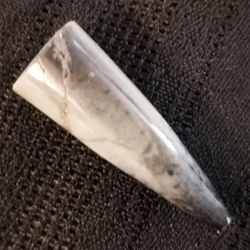 Belemnite Fossil