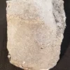 South Dakota Ammonite Fossil Matrix