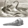 Spectacular Fossilized Ichthyosaurs Dinosaur Jaw Segment