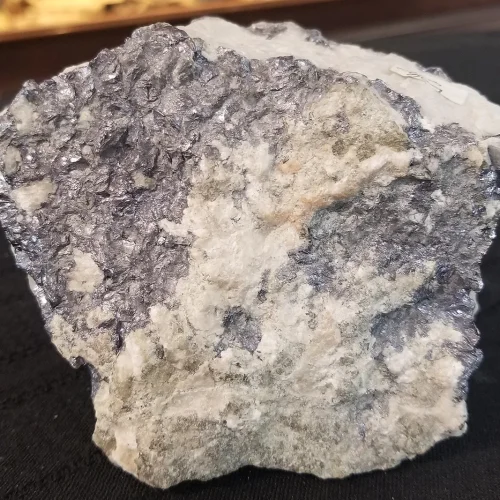 Fossilized Whale Vertebrae Unique Low Profile