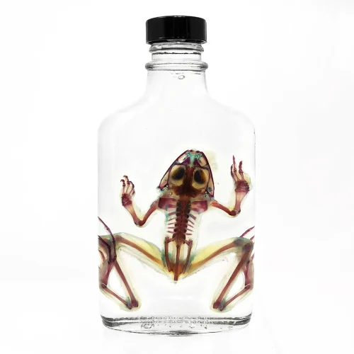 NH296A Diaphonized Frog in Vintage Flask