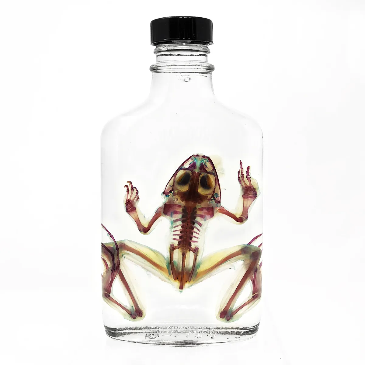 Diaphonized  Frog in Vintage Flask