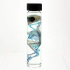 Diaphonized Young Quail in X-Tall Vial Double Stained