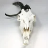 NH303A Spanish Goat Skull Wonky Horns