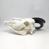 NH303B Spanish Goat Skull Wonky Horns