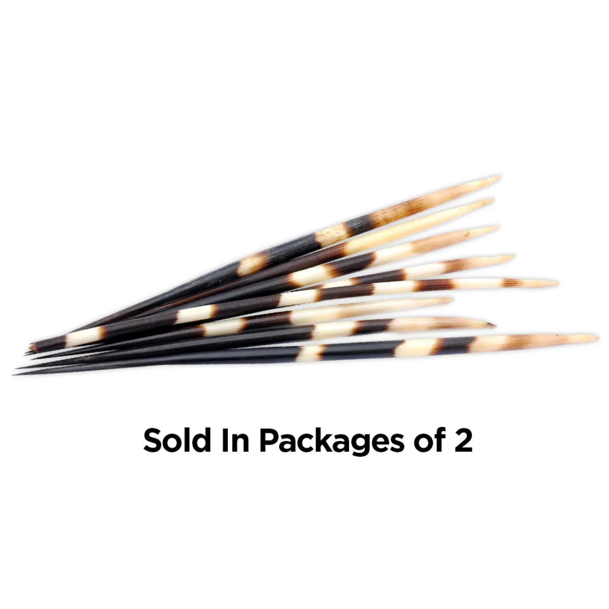 African Porcupine Quills