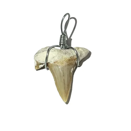 Genuine Fossil Shark Tooth Pendant