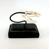 NH3311 Asian Vine Snake Real Skull
