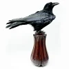 Real Taxidermy Crow