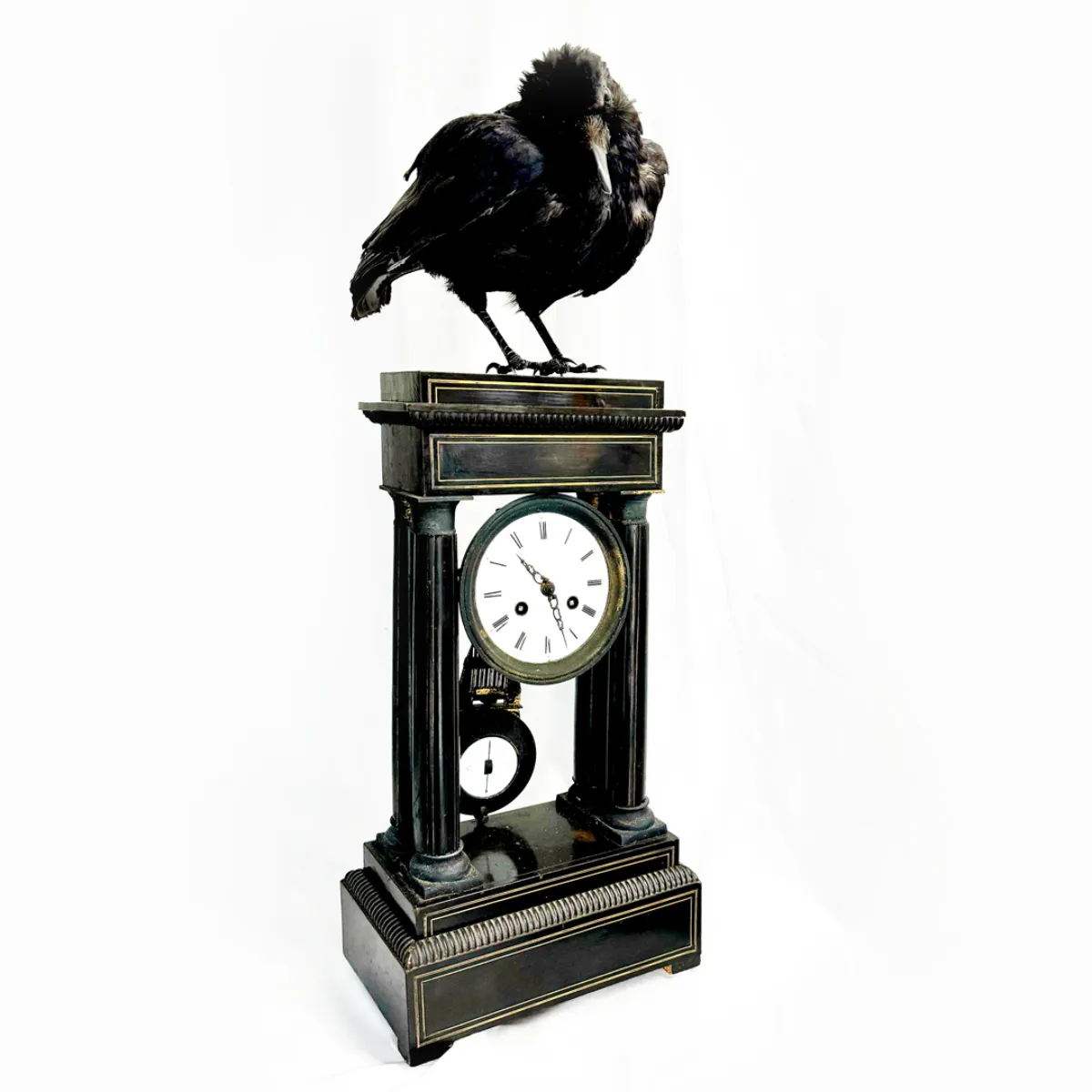 Real Taxidermy Crow Antique Clock Mount