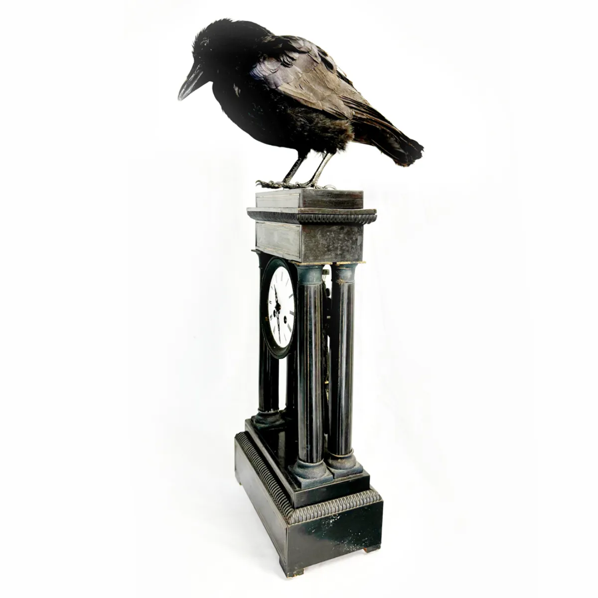 Real Taxidermy Crow Antique Clock Mount
