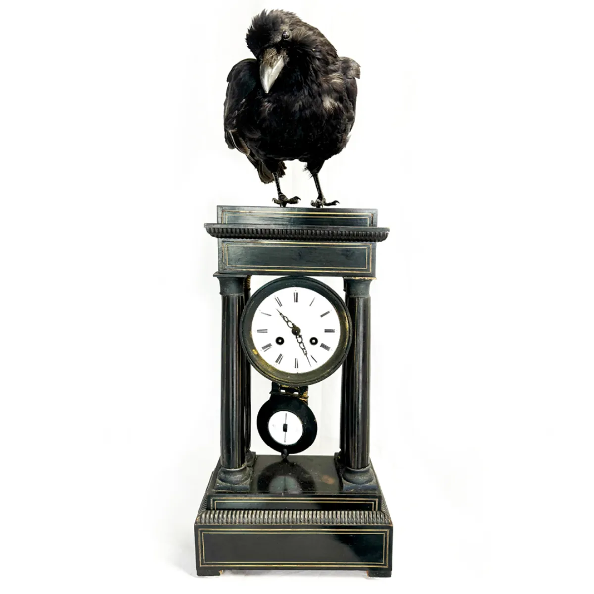 Real Taxidermy Crow Antique Clock Mount