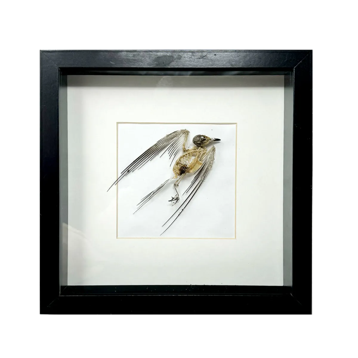 NH346 Angelic Skeletal Bird Art