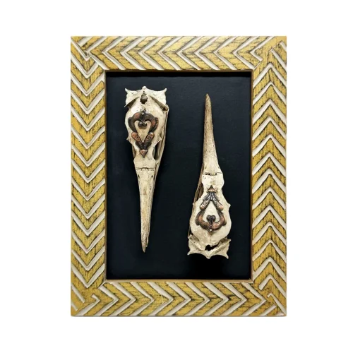 Original Natural Bird Skull Art