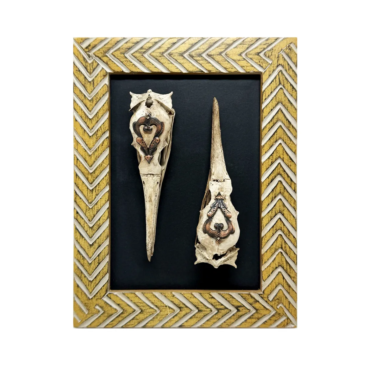 Original Natural Bird Skull Art