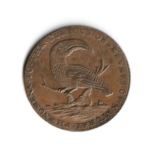 NH3791 RARE 18th Century T. Hall Taxidermist Token