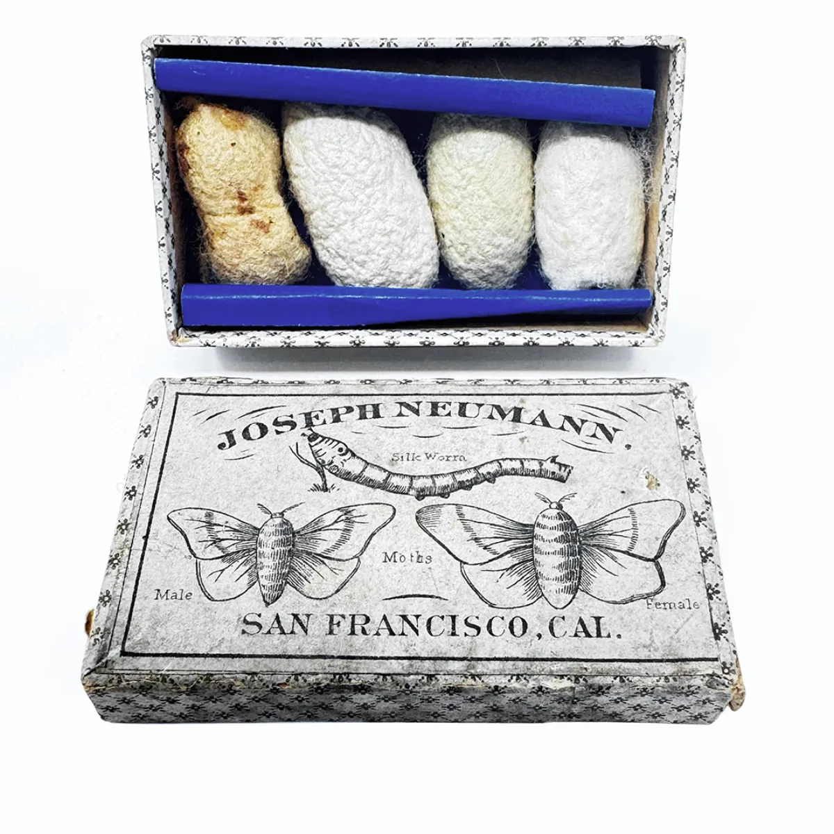 Rare 1876 Philadelphia International Expo Silk Culture Souvenir
