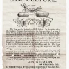 Rare 1876 Philadelphia International Expo Silk Culture Souvenir
