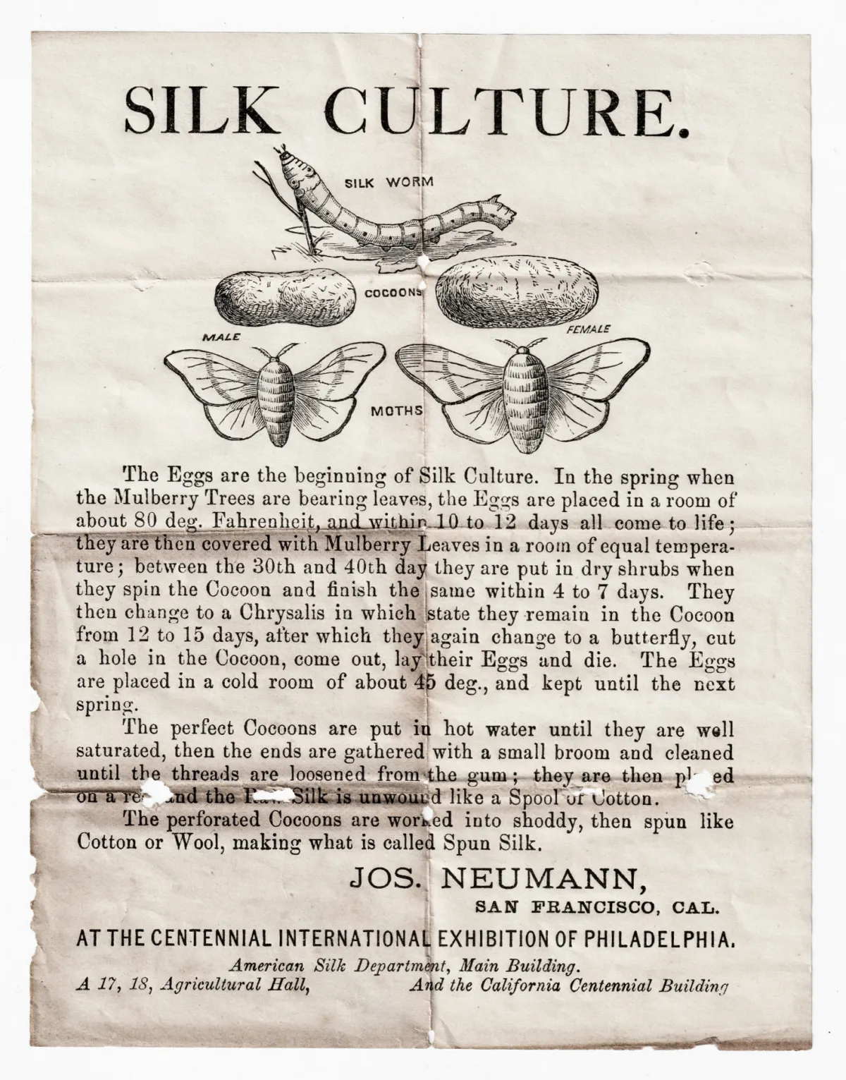 Rare 1876 Philadelphia International Expo Silk Culture Souvenir