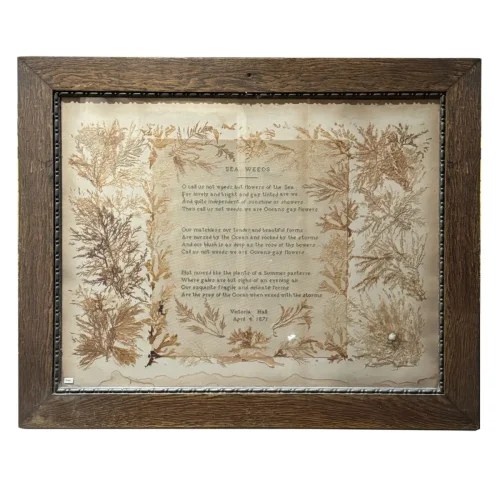 NH3871 Historically Significant ’Seaweed’ Frames 1871 Niagara Falls Museum