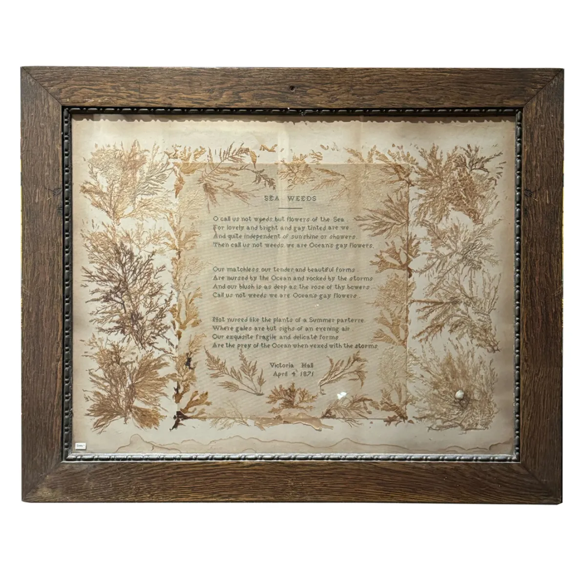 NH3871 Historically Significant ’Seaweed’ Frames 1871 Niagara Falls Museum