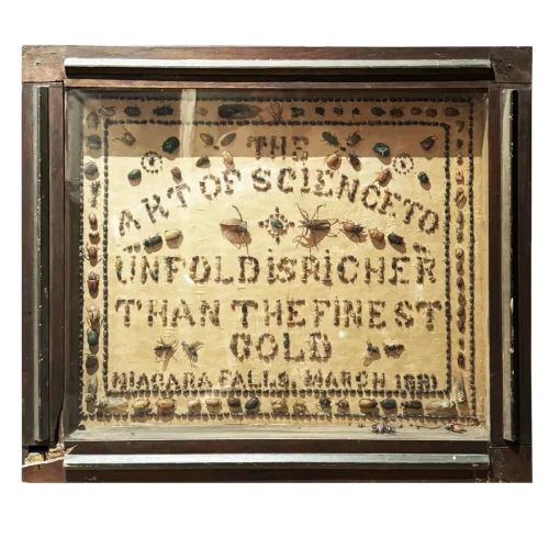 NH3881 Outstanding Historically Significant Entomology ‘Bug’ Frame Niagara Falls Museum 1881