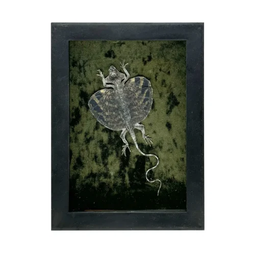 Flying Dragon in Shadowbox Frame