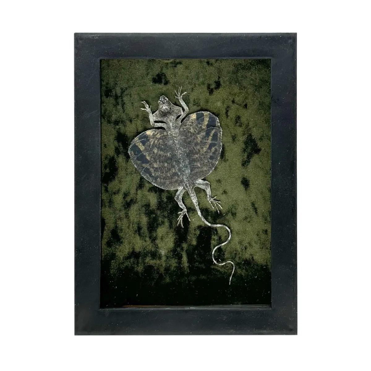 Flying Dragon in Shadowbox Frame