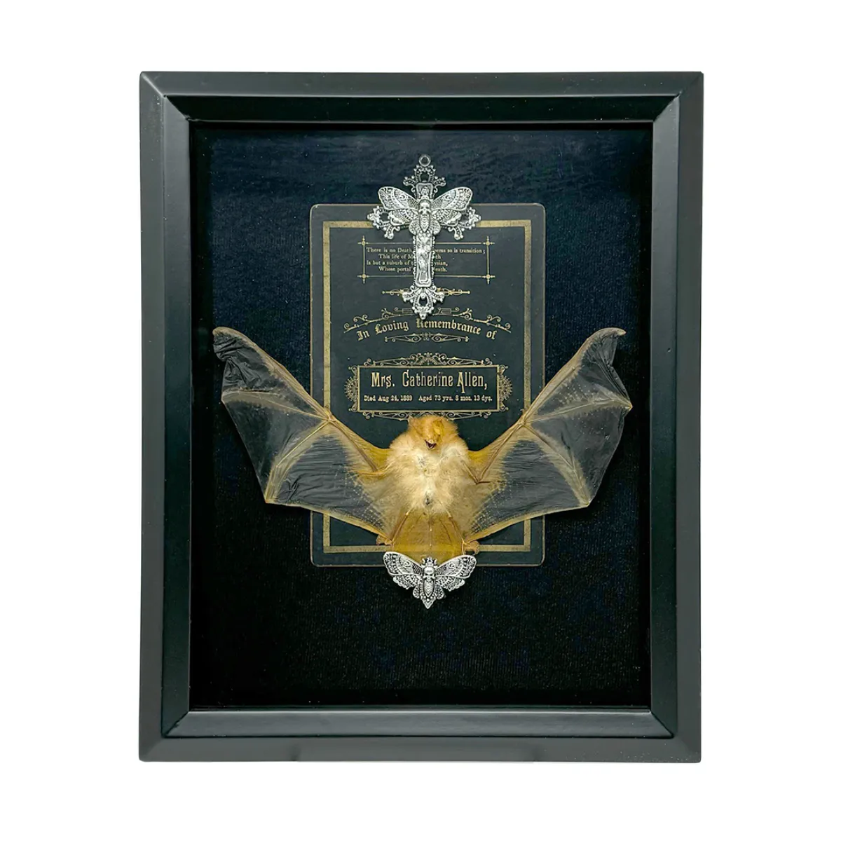 NH4061 Taxidermy Painted Bat with Ornate Jewellery and Victorian Death Notice in Shadowbox Frame