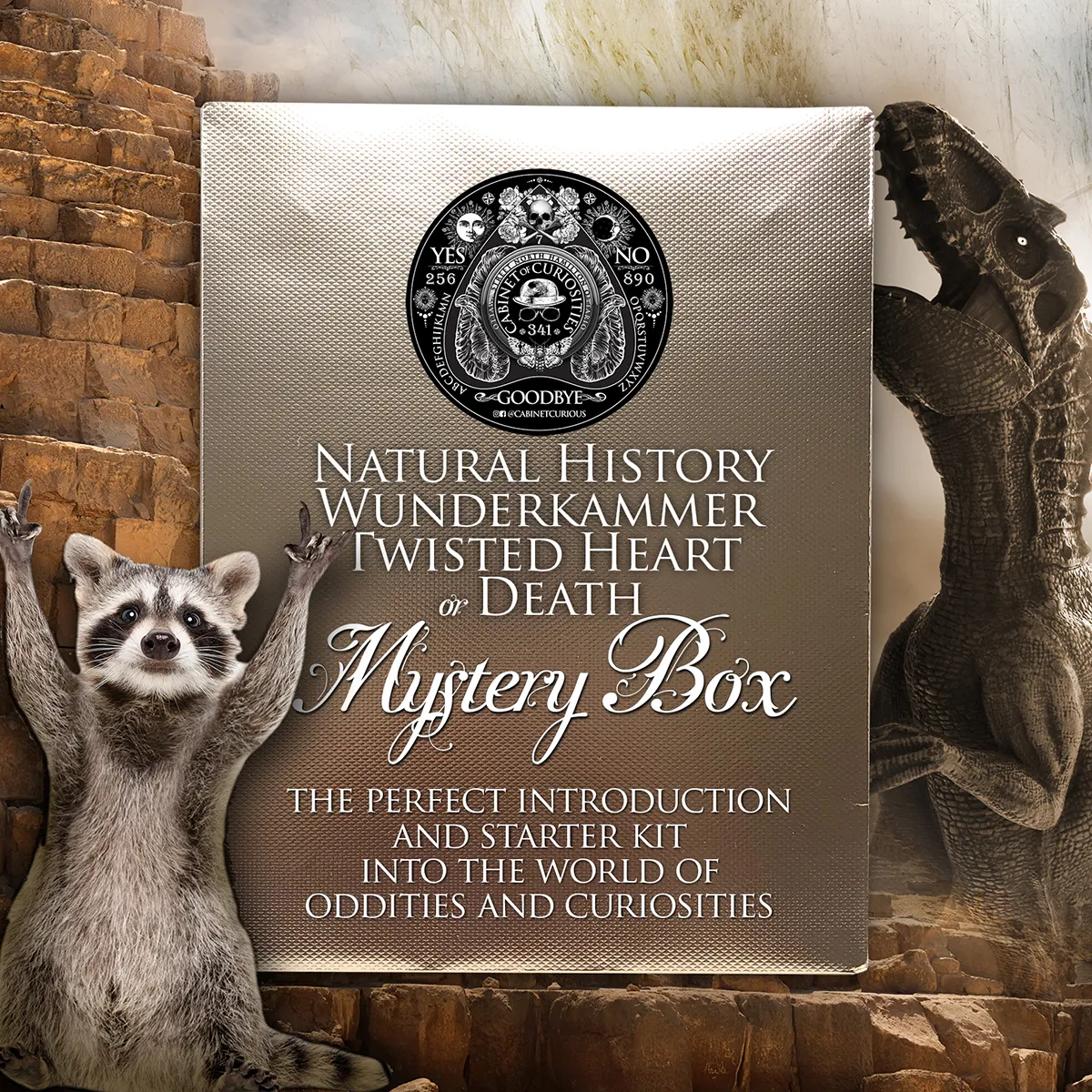 Natural History Mystery Box