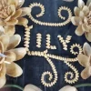 19th Century Framed Memorial Shell Art