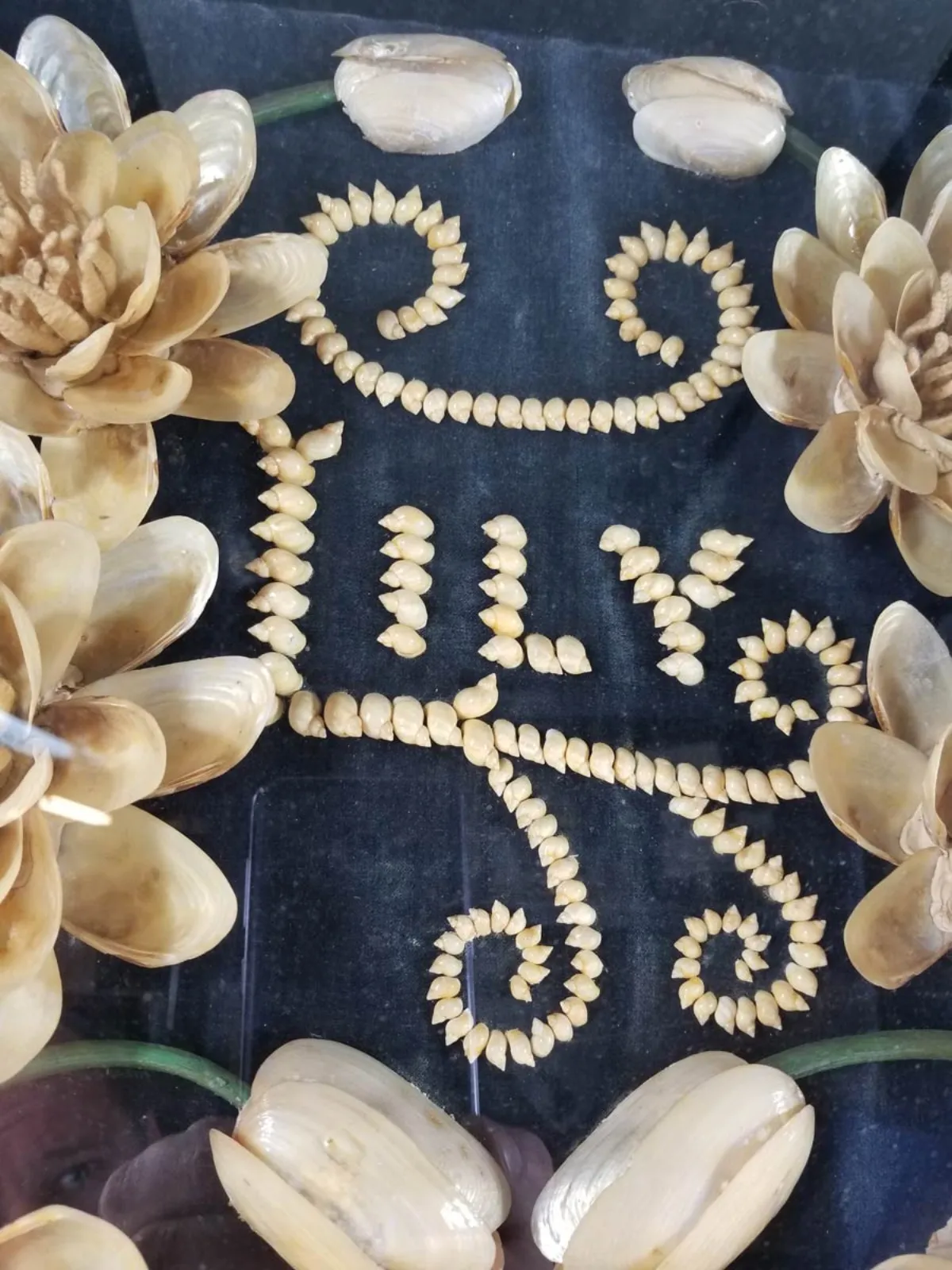 19th Century Framed Memorial Shell Art