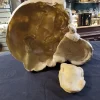 Sculpted Resin Bear Mask Gord Smith FX Collection