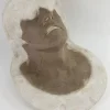 OC060-B Sylvester Stallone FX Plaster Mold