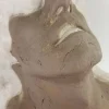 OC060-C Sylvester Stallone FX Plaster Mold