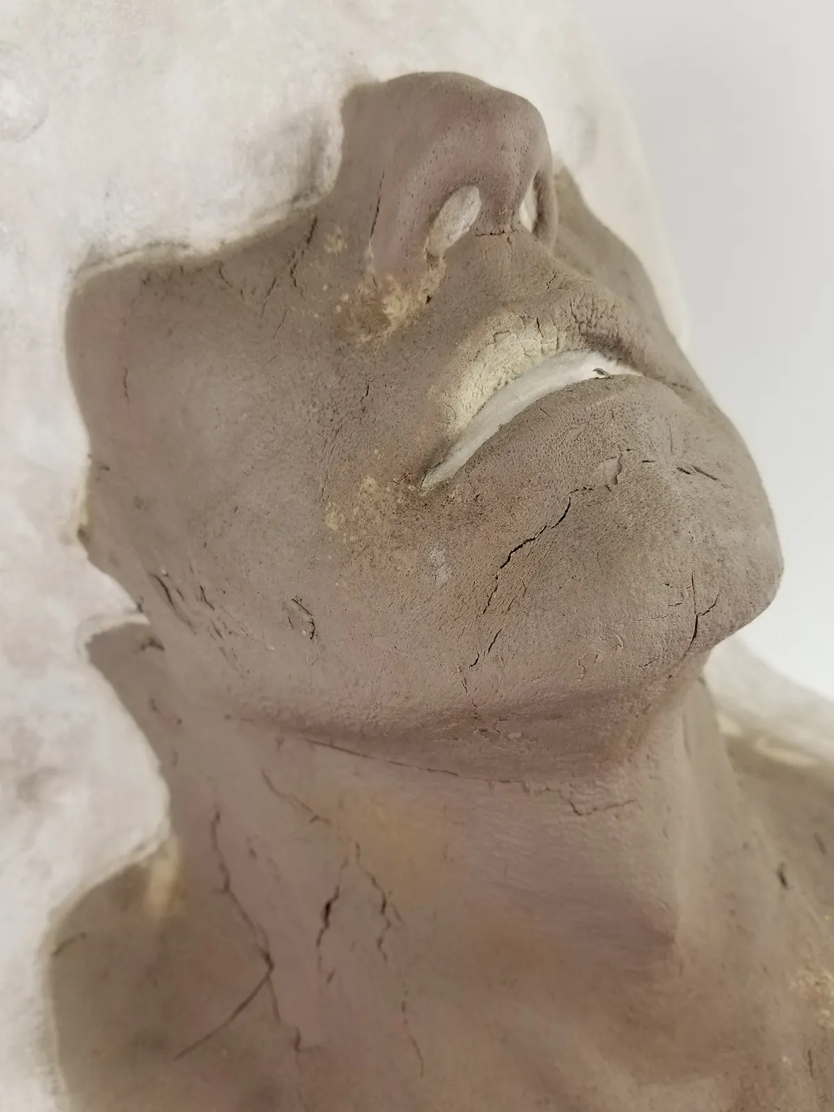 OC060-C Sylvester Stallone FX Plaster Mold